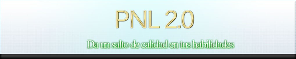 pnl2.0